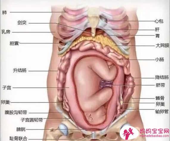 孕期尿頻 改善6法