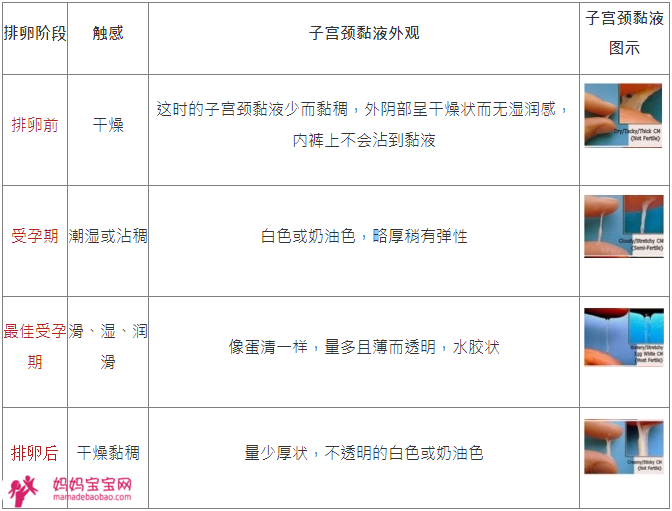 排卵期出血、分泌物妳了解多少？想怀孕就掌握６个排卵症状！