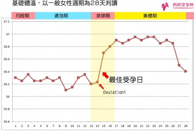 如何計算排卵期？