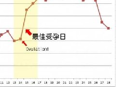 如何計算排卵期？