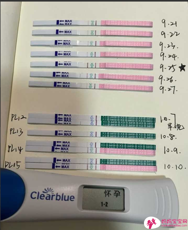 「做人成功」必看！备孕前半年到1年，这样吃提升受孕率