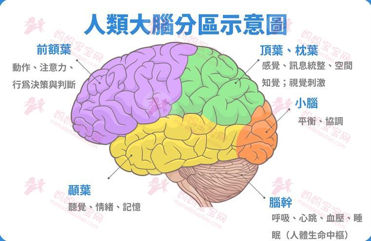 过动症ADHD是什么？ ADHD的10大症状，从生活中就有征兆