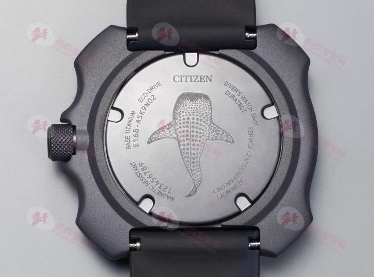 鲸鲨斑点点缀CITIZEN面盘四角护罩潜水表辨识度超高
