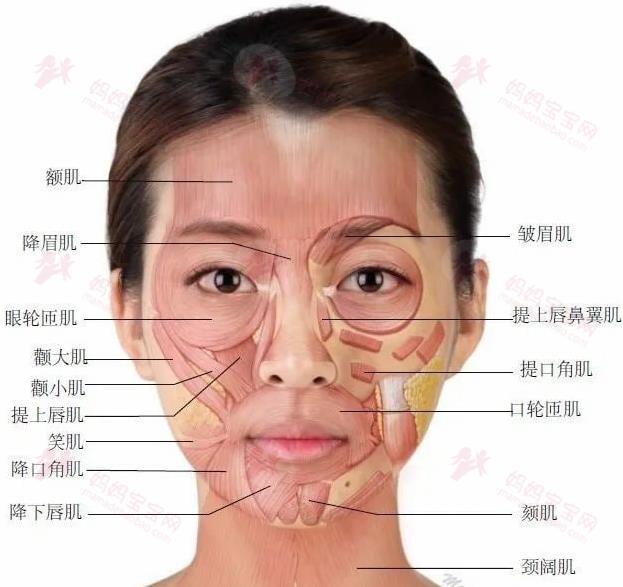 面部肌肉酸痛，急性病毒感染