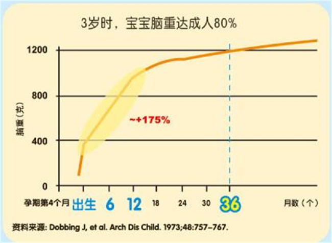 孩子补脑最佳时期 脑部发育黄金阶段