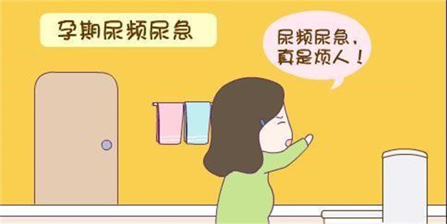 怀孕期间为什么会尿频（子宫增大压迫膀胱）