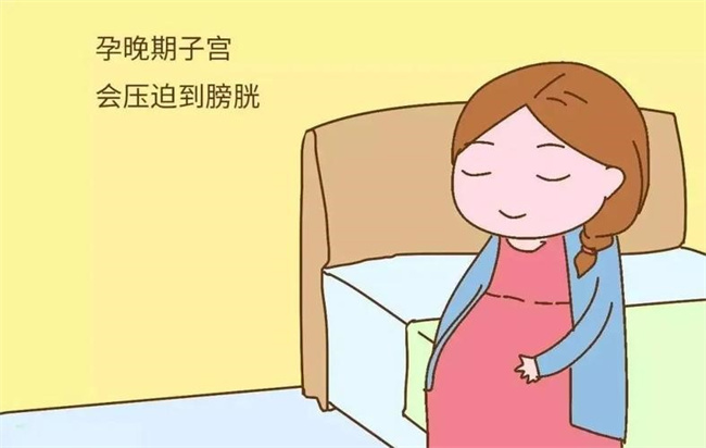 怀孕期间为什么会尿频（子宫增大压迫膀胱）