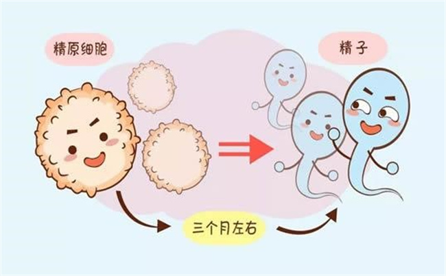 怎样判断精子是否健康（精子颜色、形态、味道、数量等）