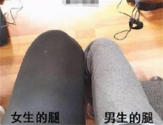 男生的腿为什么普遍比女生细