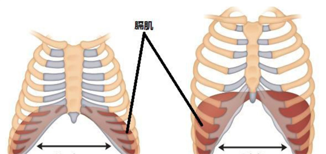 如何预防宝宝肋骨外翻