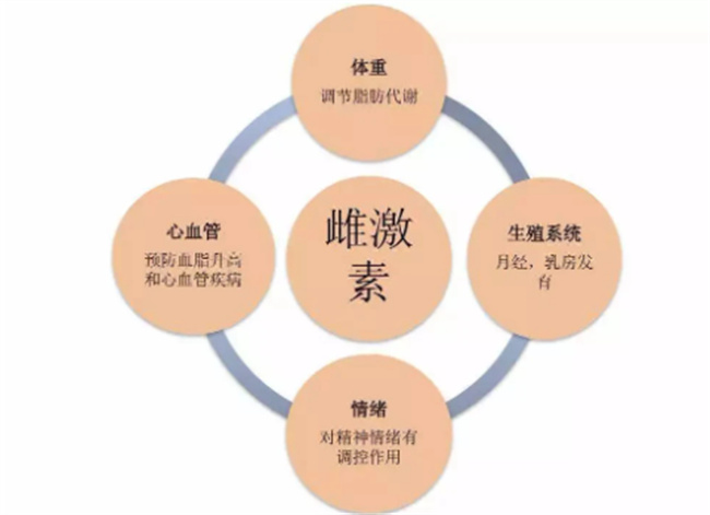 雌激素的作用是什么