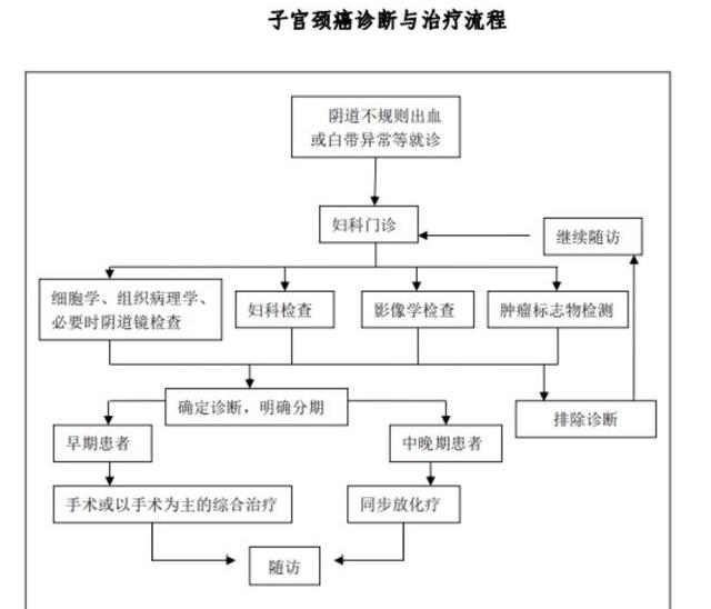 宫颈癌治疗：放射治疗、手术治疗和化疗的有效性