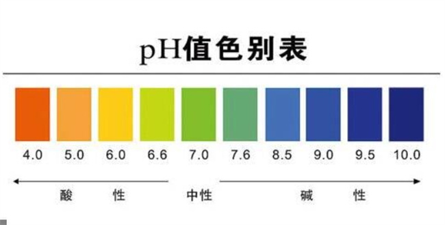 pH值与健康：了解正常人体的pH值及酸性体质