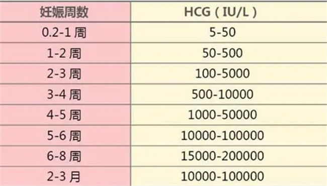 hcg人绒毛膜促性腺激素正常值及其变化