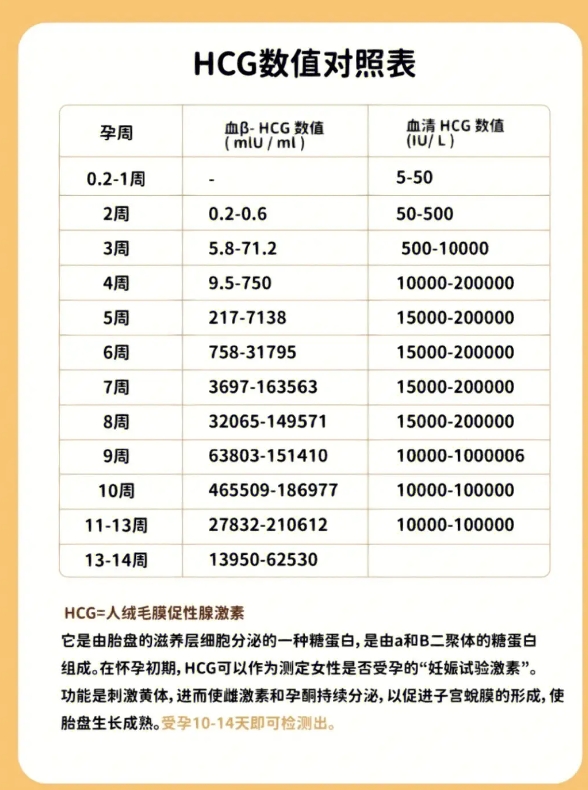 解读HCG与孕周：保护胎儿健康的重要指标