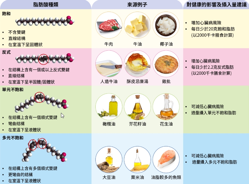 不饱和脂肪酸的重要性与来源