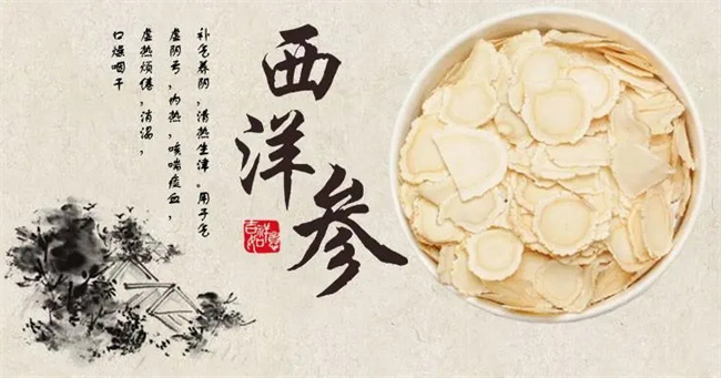 西洋参的五大功效及适用范围