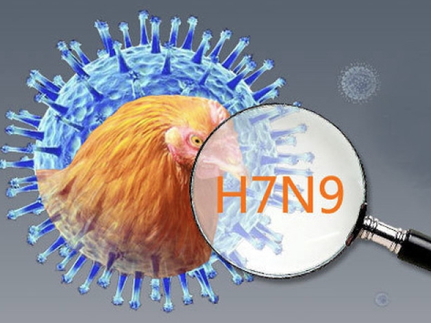 h7n9流感病毒的预防和防治知识