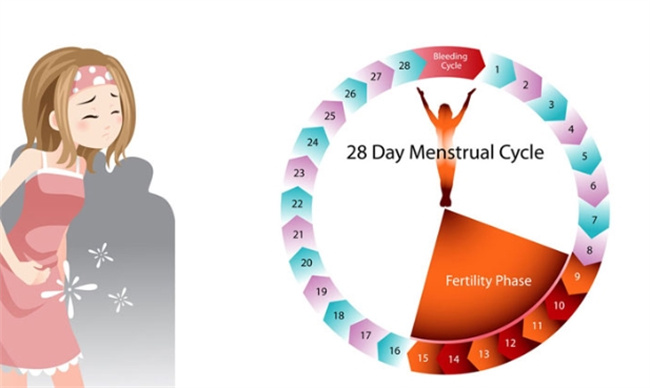 揭秘女性健康：从月经中窥探身体的秘密