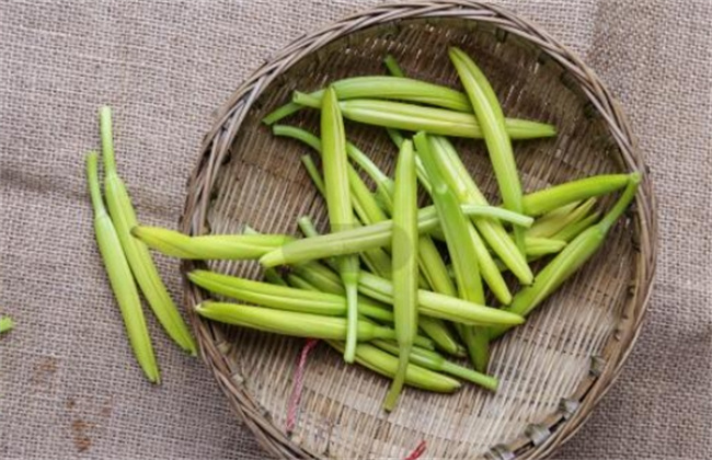 安全享受美味：解读黄花菜的毒性与烹饪技巧