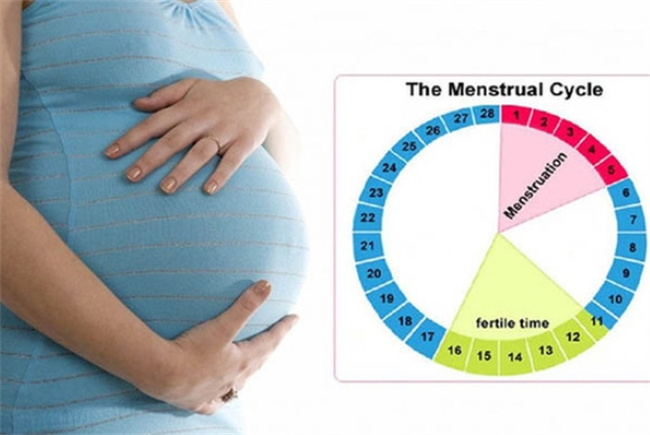 探索女性安全期避孕：科学解析与多重保障策略