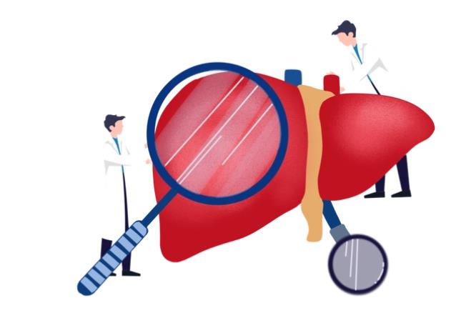 乙肝病毒传播揭秘：科学预防，守护健康的关键