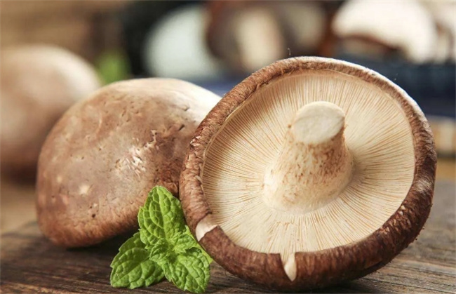 花菇与香菇：不同之处和营养价值
