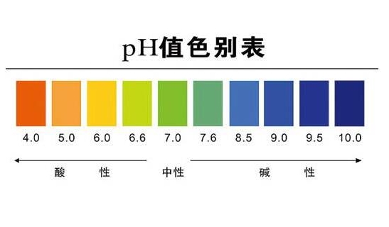 理解人体PH值：酸碱平衡的关键