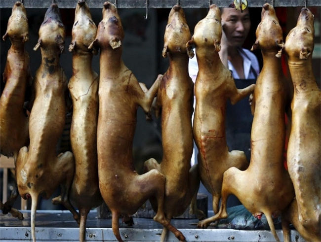 冬日暖心美食，尝鲜狗肉三绝！