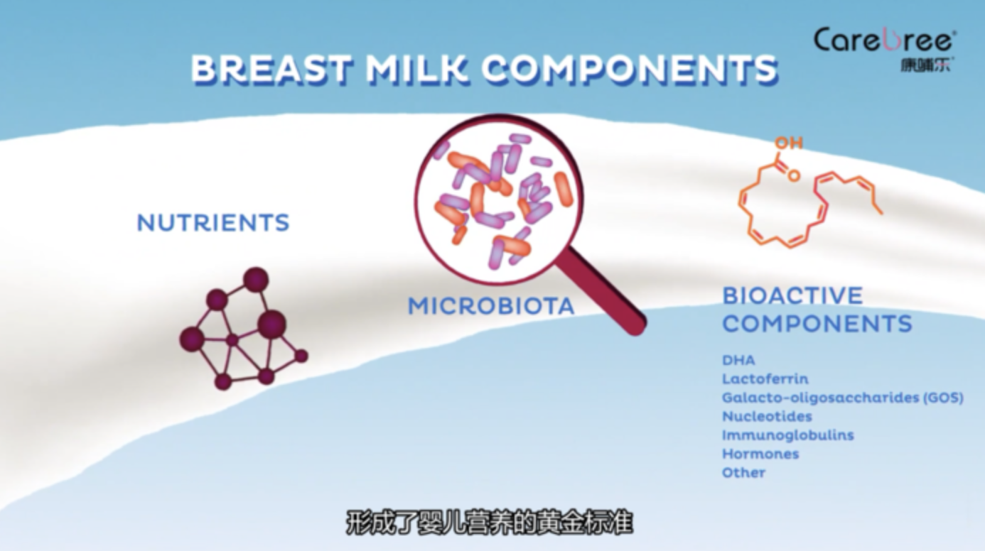 母乳中的脂质成份解析