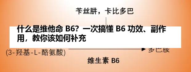 什么是维他命 B6？一次搞懂 B6 功效、副作用，教你该如何补充