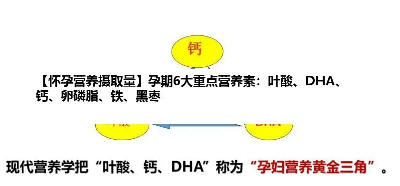 【怀孕营养摄取量】孕期6大重点营养素：叶酸、DHA、钙、卵磷脂、铁、黑枣