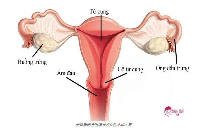 什么是不孕症？是什么原因，有什么征兆？