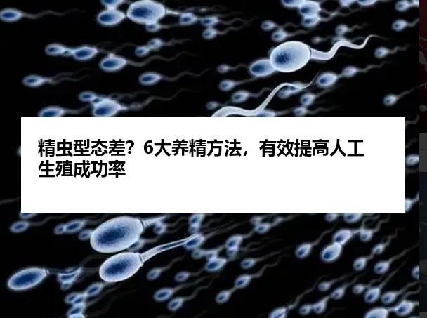 精虫型态差？6大养精方法，有效提高人工生殖成功率