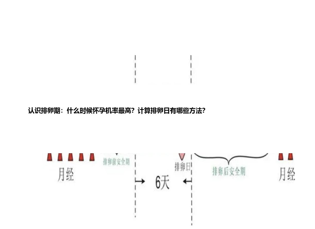 认识排卵期：什么时候怀孕机率最高？计算排卵日有哪些方法？