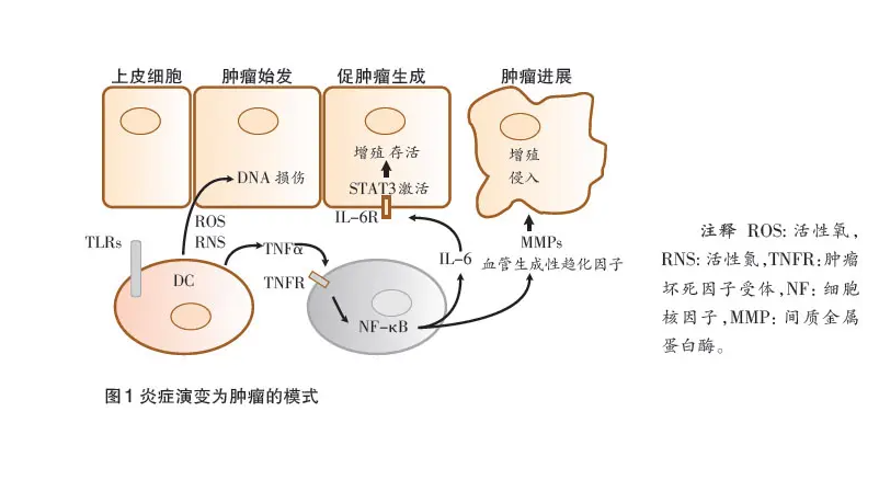 儿童IBD及早治疗，以免影响生长发育