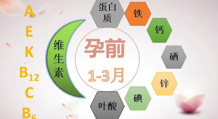 【怀孕营养摄取量】孕期6大重点营养素：叶酸、DHA、钙、卵磷脂、铁、黑枣