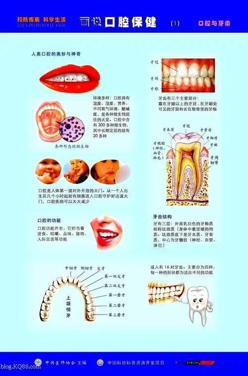 【活动花絮报导】超前部署～呵护宝贝的成长