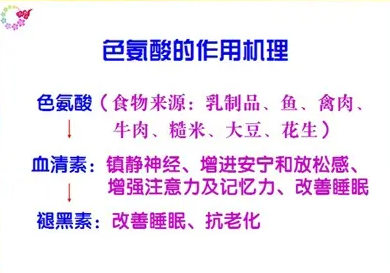 教你一次看懂色胺酸如何吃、功效及副作用