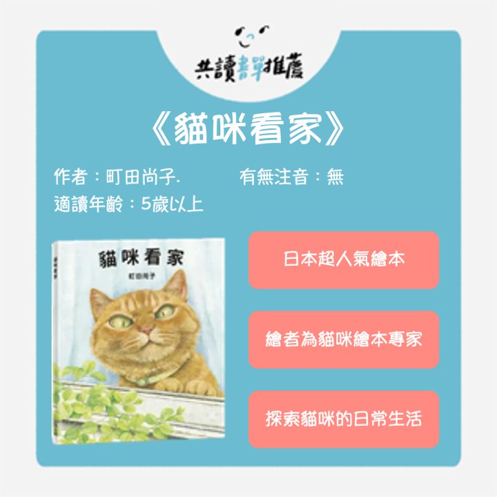 5大疗愈猫咪书单！看见不一样的猫咪