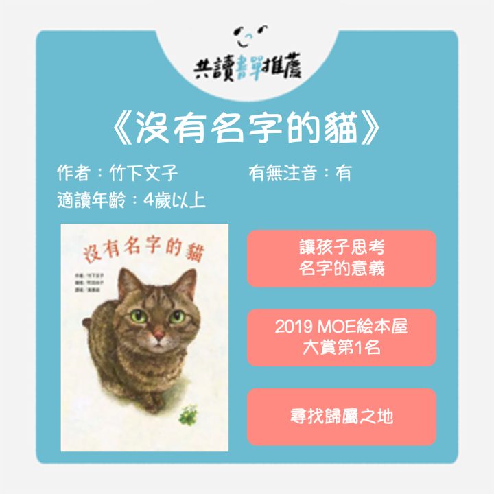 5大疗愈猫咪书单！看见不一样的猫咪