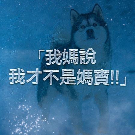 20元停车费要平分⋯全联PO「14个爱情凉掉瞬间」网讚：每个都毋汤