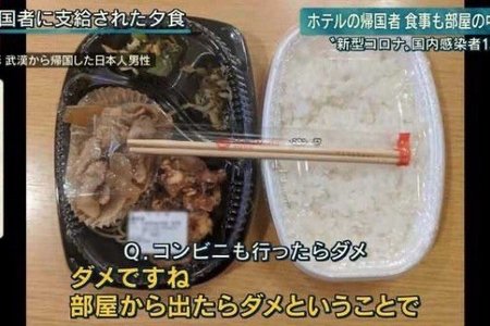 美国自助buffet、武汉满满红萝卜...　各国隔离餐大PK！