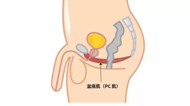 记住这4点，满足女人的需求让爱爱更刺激长久！