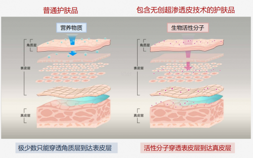 科技即信仰,探索属于薇妮生物科技的抗衰市场