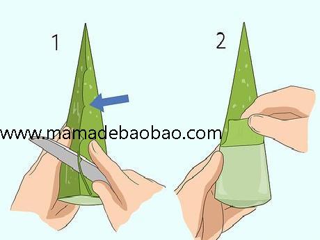 3种方法来用芦荟护肤(滋润皮肤)