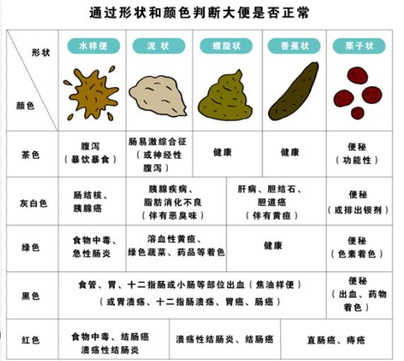 成人大便绿色现象解析：食物、健康与病症