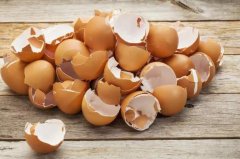 利用鸡蛋壳治疗胃病：小偏方解析