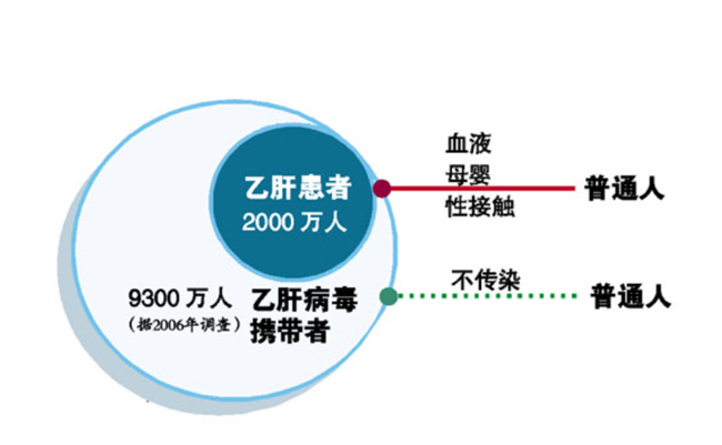 保障伴侣健康 乙肝大三阳患者结婚前需知的重要事项