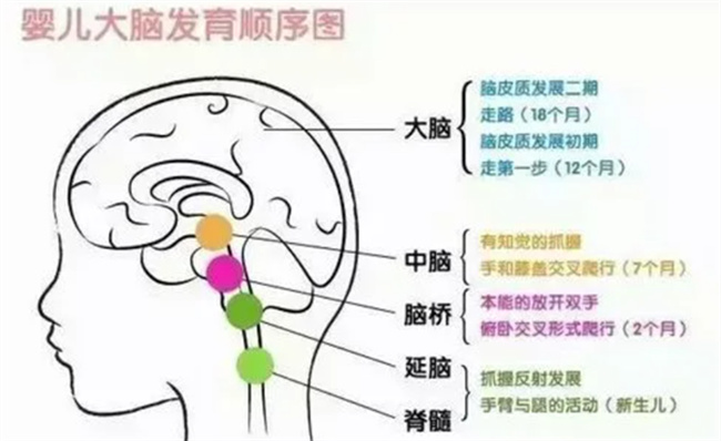 孩子补脑提高记忆力：抓住黄金时期